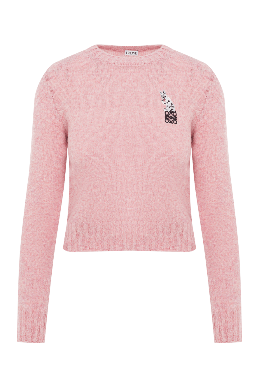 Loewe Jumper - Country of manufacture: Italy. Care: specialized cleaning - photo 1