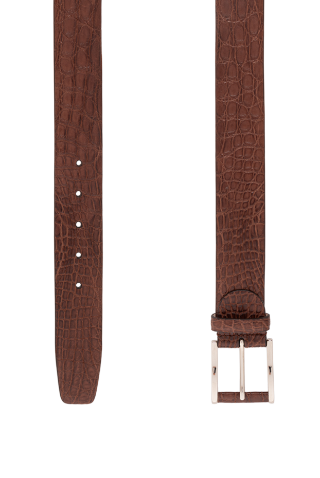 Cesare di Napoli belt made of genuine crocodile leather in chocolate brown shade with classic buckle 190084 - photo 3