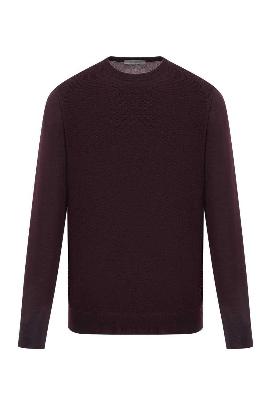 Corneliani Jumper long sleeve - Country of manufacture: Italy. Care: specialized cleaning - photo 1