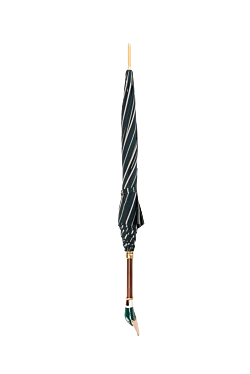 Umbrella with the head of a wild duck green for men