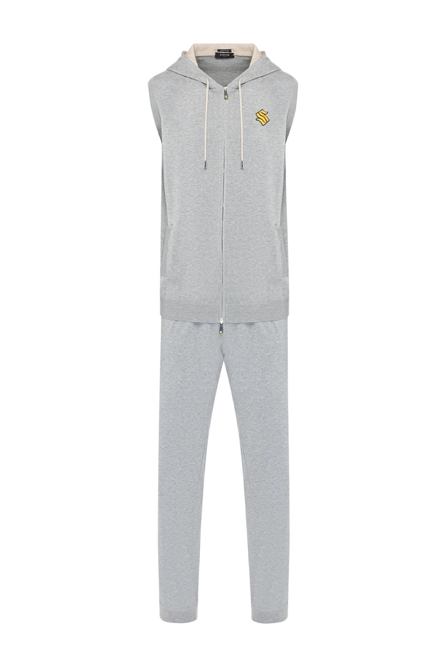 Svevo мужские костюм прогулочный мужской серый из хлопка купить с ценами и фото 179543 - фото 1