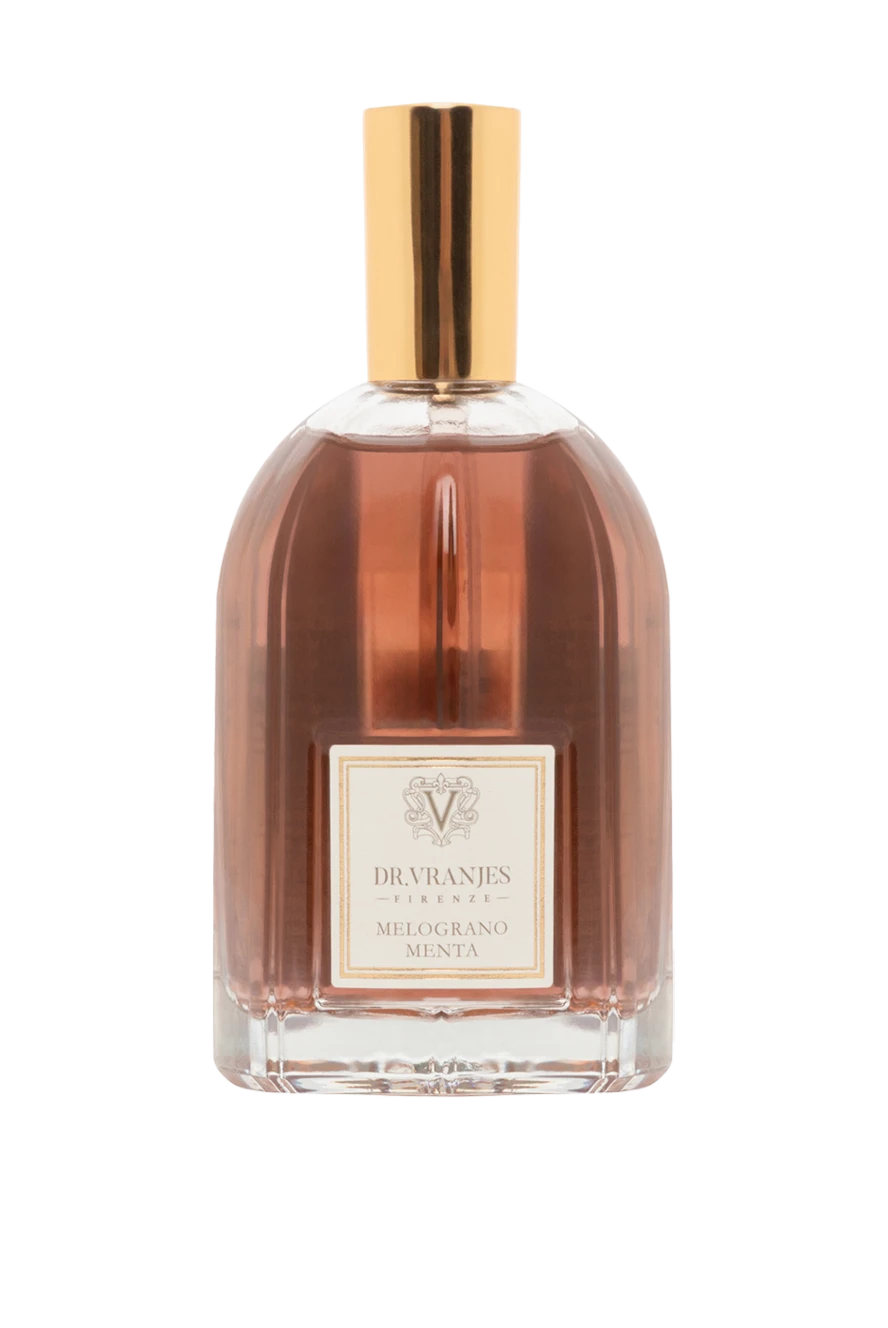 Dr. Vranjes аромат для дому melograno menta 100 мл 189531 - фото 1